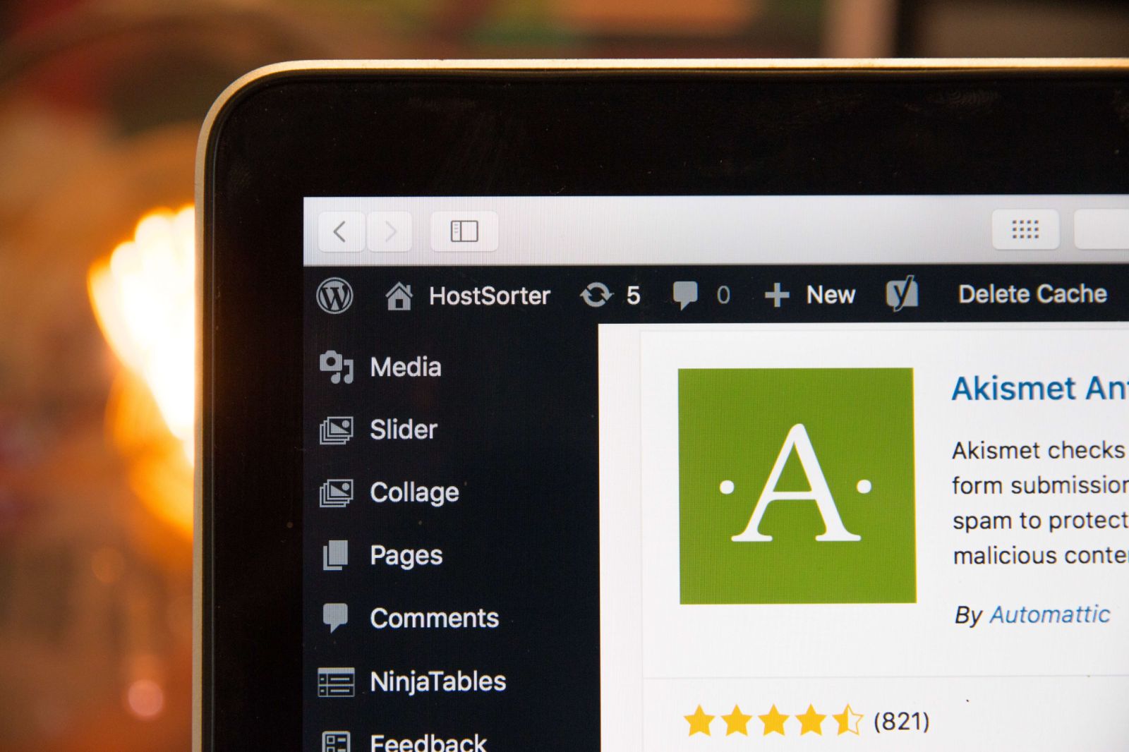 Akismet WordPress Plug-In